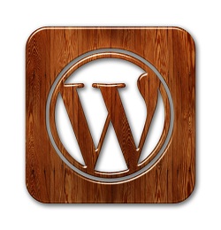  Webdesign student goedkope webwinkel laten maken