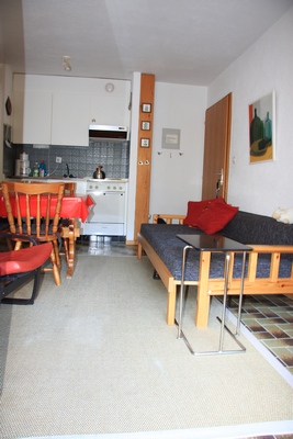 4 P. Vakantie-Appartement Zwitserse Alpen / ONTHAASTEN 