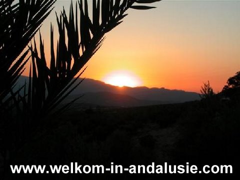 Vakantiewoning in andalusie te huur met  prive zwembad