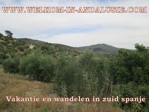 Zuid spanje, vakantiehuizen te huur