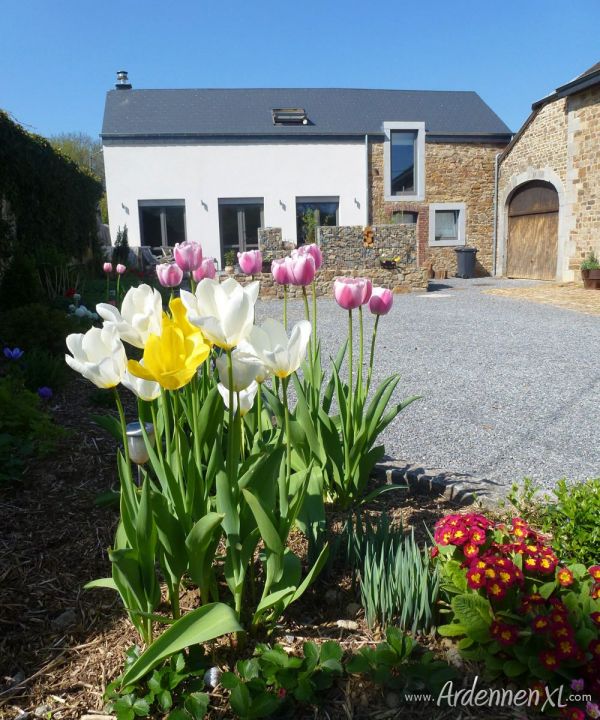 Vakantiehuis La Amante In Erezee Ardennen Belgi