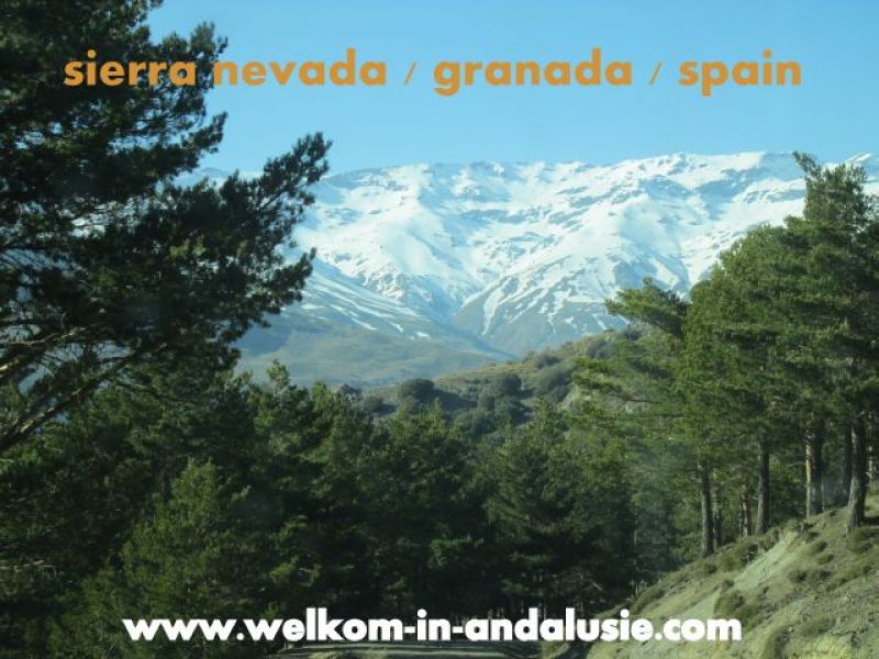 Andalusie, <spanje, vakantieverblijven in de natuur te huur