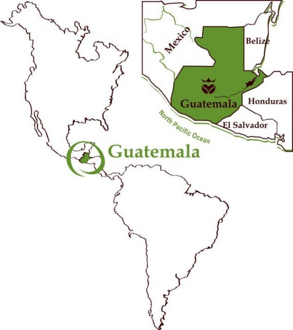 Biologische koffie van Guatemala, 100% Arabica