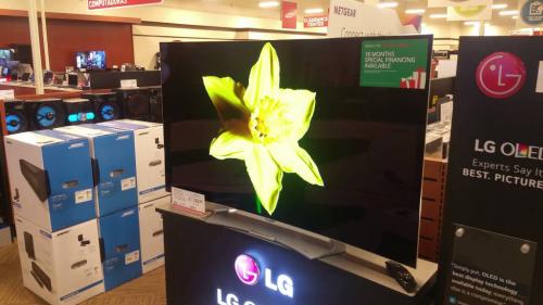 LG OLED65B6P Flat 65-Inch 4K Ultra HD Smart OLED TV (2016 Model)